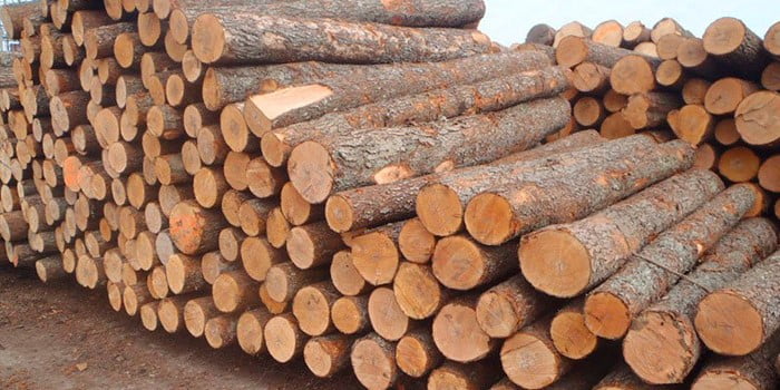 واردات چوب از چین